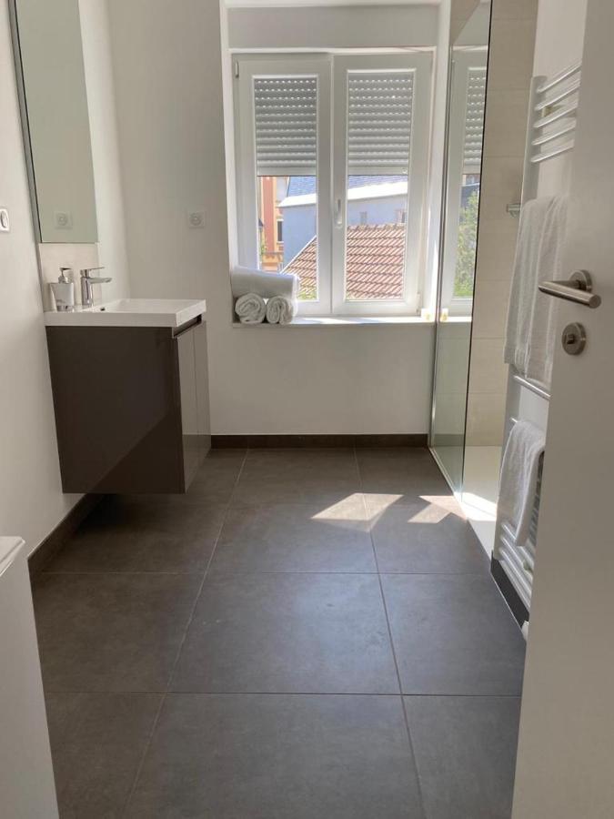 Les Appartements De La Gare Colmar Dış mekan fotoğraf